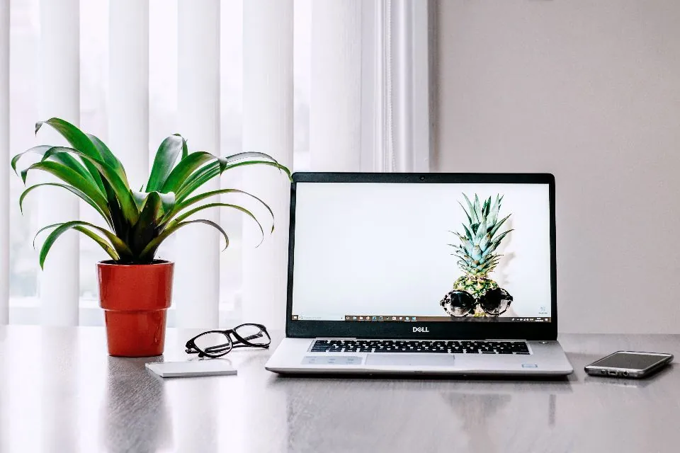 Laptop on a bright desk beside a plant, for website design and e-commerce development