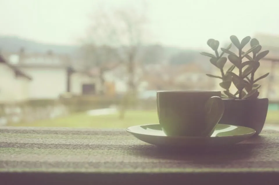 A cup of coffee by a window: a long-term working relationship